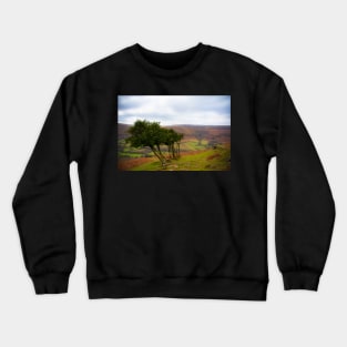 Vale of Ewyas Crewneck Sweatshirt